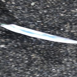 太刀魚みんな釣れてました